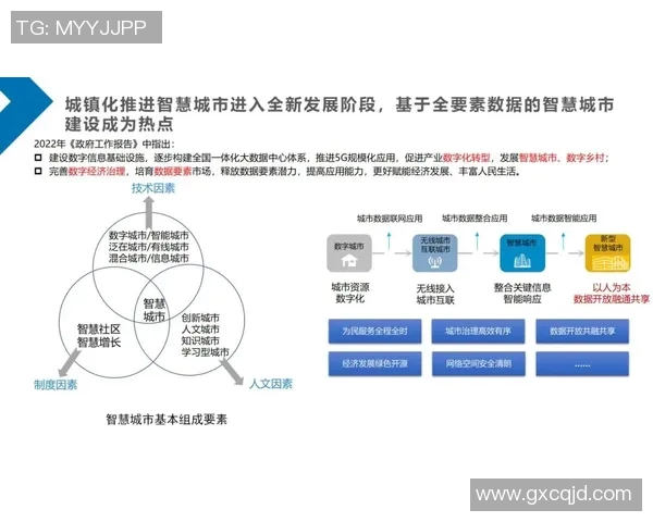 深入分析重庆乒乓球队的运营策略与发展模式探讨