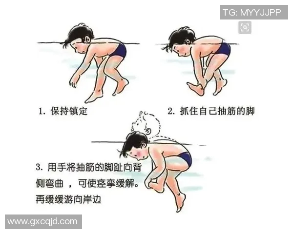 如何从零基础开始系统学习游泳技巧并快速提高水性