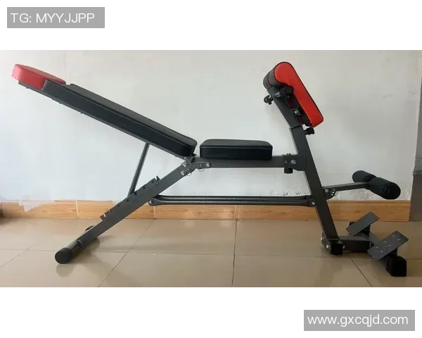 永康健身器材有限公司：了解永康健身器材有限公司的生产基地与产品类型