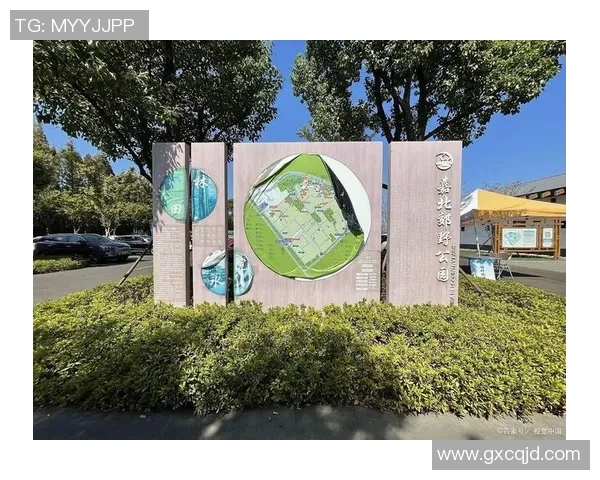 运动文化的传承与创新：从历史到未来的全球视野与多元融合