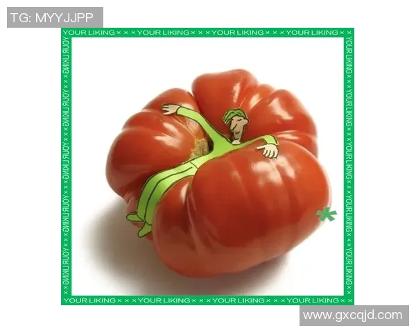 玩具世界的奇妙探险：从传统经典到现代创意，激发孩子无限想象力