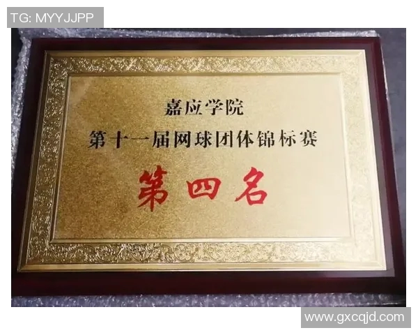 南京网球队运营分析：成功经验与面临挑战的深度探讨